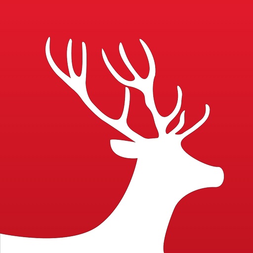 R-Stag logo
