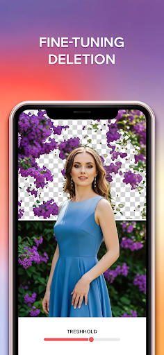 Screenshot of Background Changer of Photo