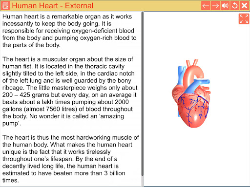 Cardiac pacemaker Screen 2