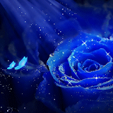 Blue Diamond Rose icon