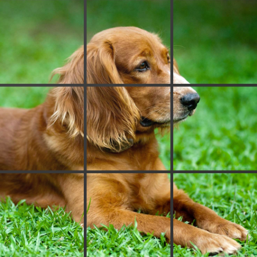 Photo Puzzle Game logo