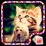 Cover Image of ダウンロード Cute Kittens Live Wallpaper  APK