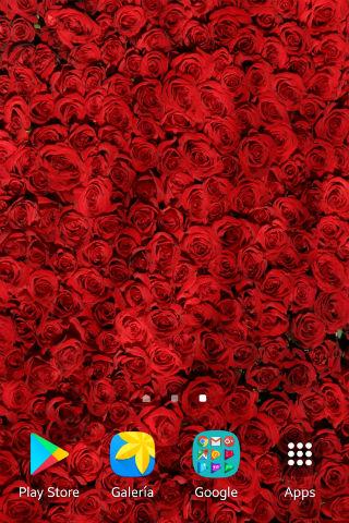 Rose Wallpapers Screen 3