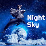 Night Sky Dolphin icon