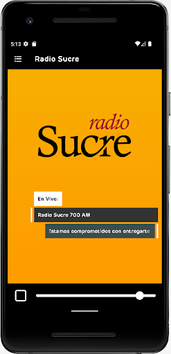Radio Sucre Screen 2
