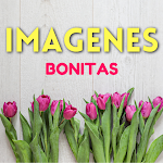 Cover Image of Herunterladen Imágenes con Mensajes Bonitos  APK