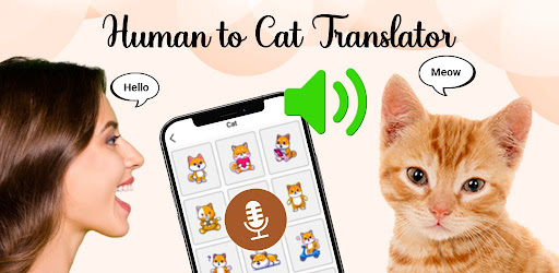 Human to Cat Translator