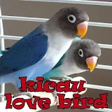 Kicau Love Bird Juara icon