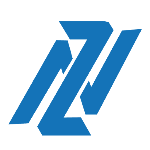 Netzain Scarica su Windows