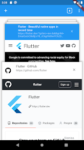 Flutter Browser 3