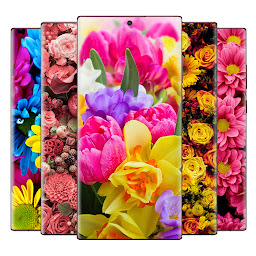 Icon image Flower Wallpaper