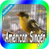 Canaries American Singer icon