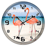 Flamingo Clock Live Wallpaper  Icon