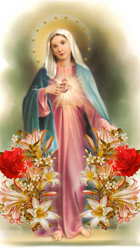 Android application Mother Mary Wallpaper screenshort