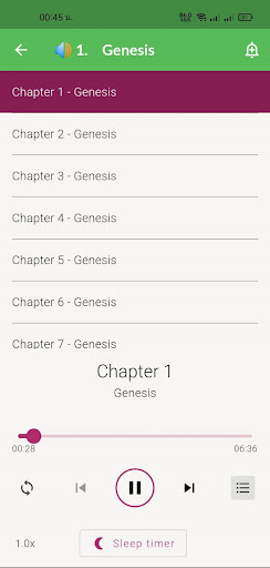 Audio Bible - NKJV Bible App screenshot