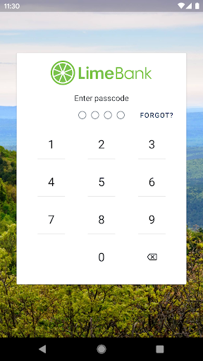 Android application LimeBank screenshort