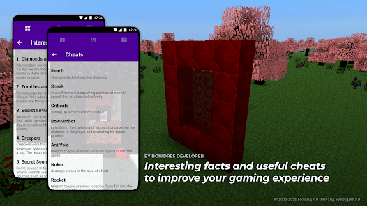 Screenshot image