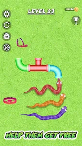 Tangled Snakes Sort Puzzle