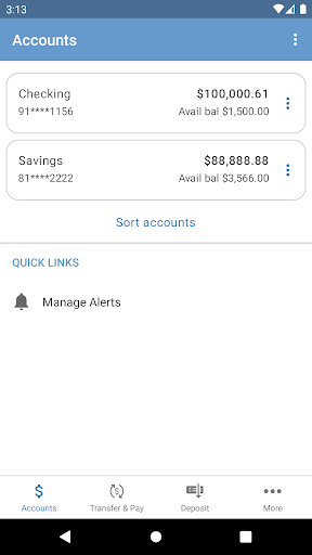 First State Bank Inc IA Screen 3