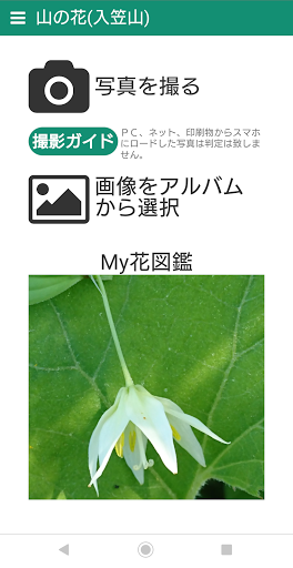 山の花（入笠山） Screen 2