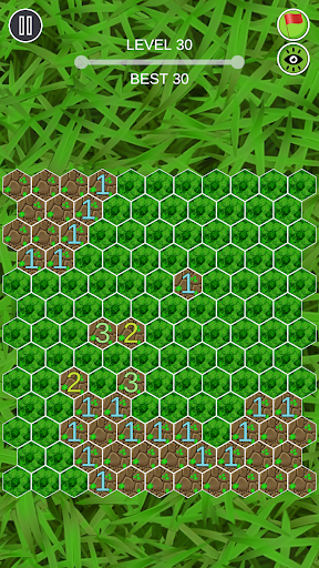 Hexagon Minesweeper Screen 3