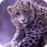 Snow leopard live wallpaper icon