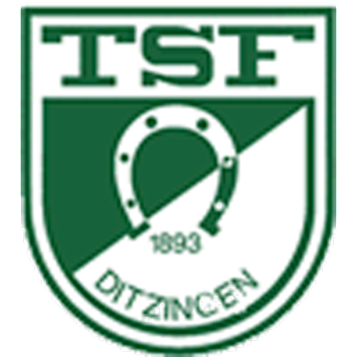 TSF Ditzingen logo