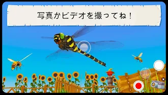 Game screenshot 子供向けの昆虫とクモの教育 AR ゲーム hack