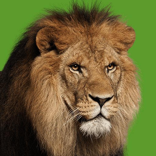Documentales de animales Descarga en Windows