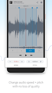AudioStretch:Music Pitch Tool