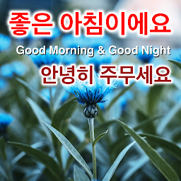 「한국어 일일 소원 메시지」圖示圖片