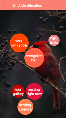 Bird Identificationのおすすめ画像1