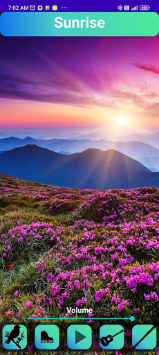 Meditation and Relaxation