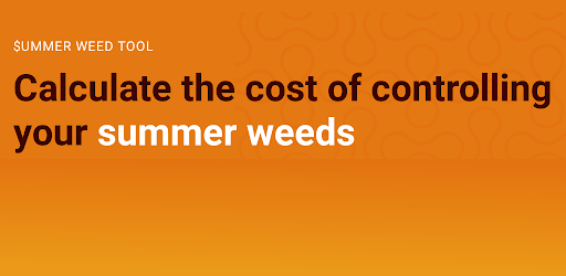 Summer Weed Tool