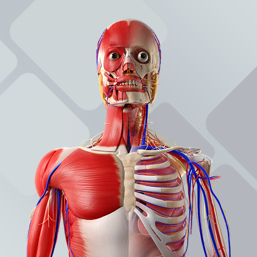 Baixar BioAtlas - Anatomia Humana 3D para Android