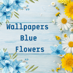 Cover Image of Herunterladen Wallpapers for Blue Flowers 1 APK
