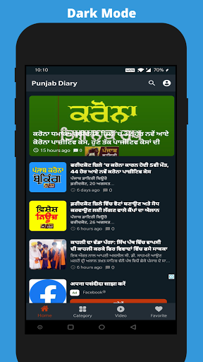 Punjab Diary