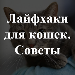 Icon image Лайфхаки для кошек. Советы