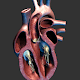 Heart 3D model for learning Изтегляне на Windows