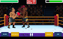 screenshot of Big Shot Boxing