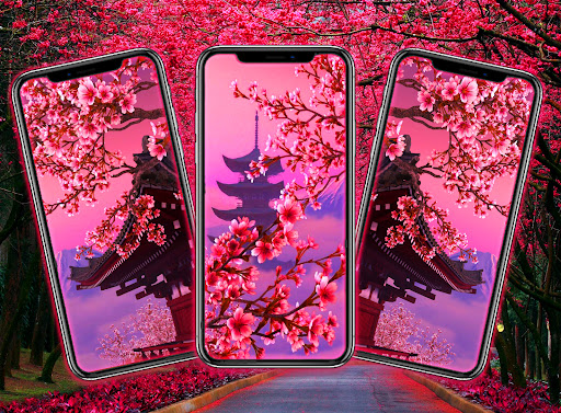 Android application Sakura Wallpaper 4k screenshort