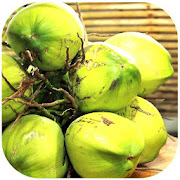 Top 36 Health & Fitness Apps Like Health Benefits Of Coconut - Best Alternatives