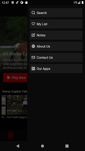 Horse Capital Television Screen 3