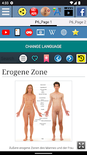 Erogene Zone - Anatomie