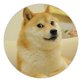 Flappy Doge icon