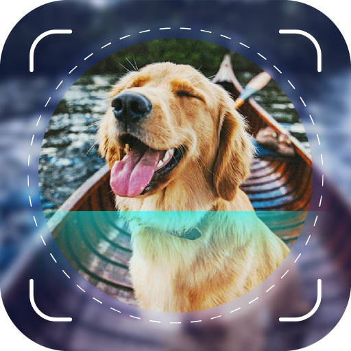 Dog Scanner: Breed Identifier Logo