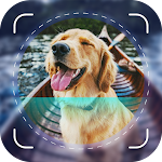 Cover Image of डाउनलोड Dog Scanner: Breed Identifier  APK