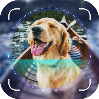 Dog Scanner: Breed Identifier
