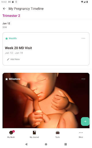 Screenshot of Pregnancy Tracker by Sprout