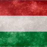 Hungarian Conjugation icon